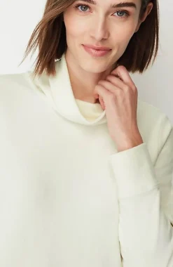 Fit Microfleece Turtleneck Tunic | Jjill