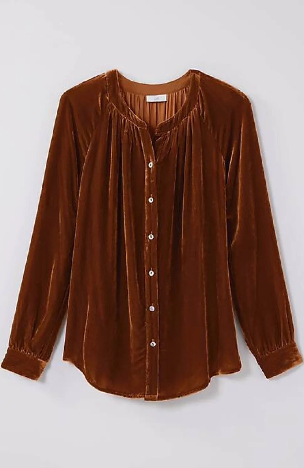 Rayon U0026 Silk Velvet Blouse | Jjill